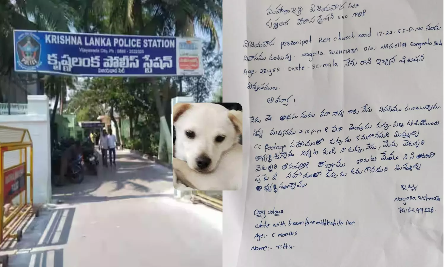 Woman Complaint to Krishna Lanka Police to Trace Missing Dog