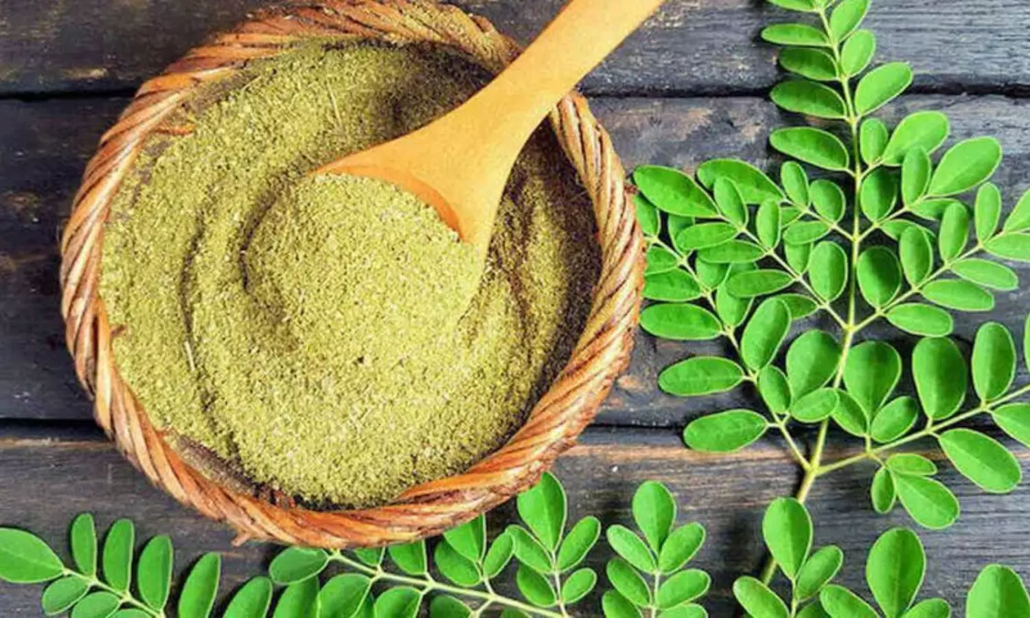 Moringa Leaves Benefits