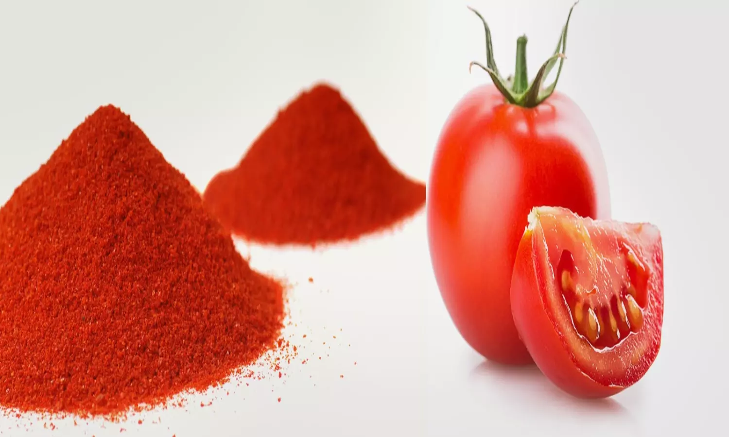 Tomato Powder Making Business Know Details About Investment and Profits