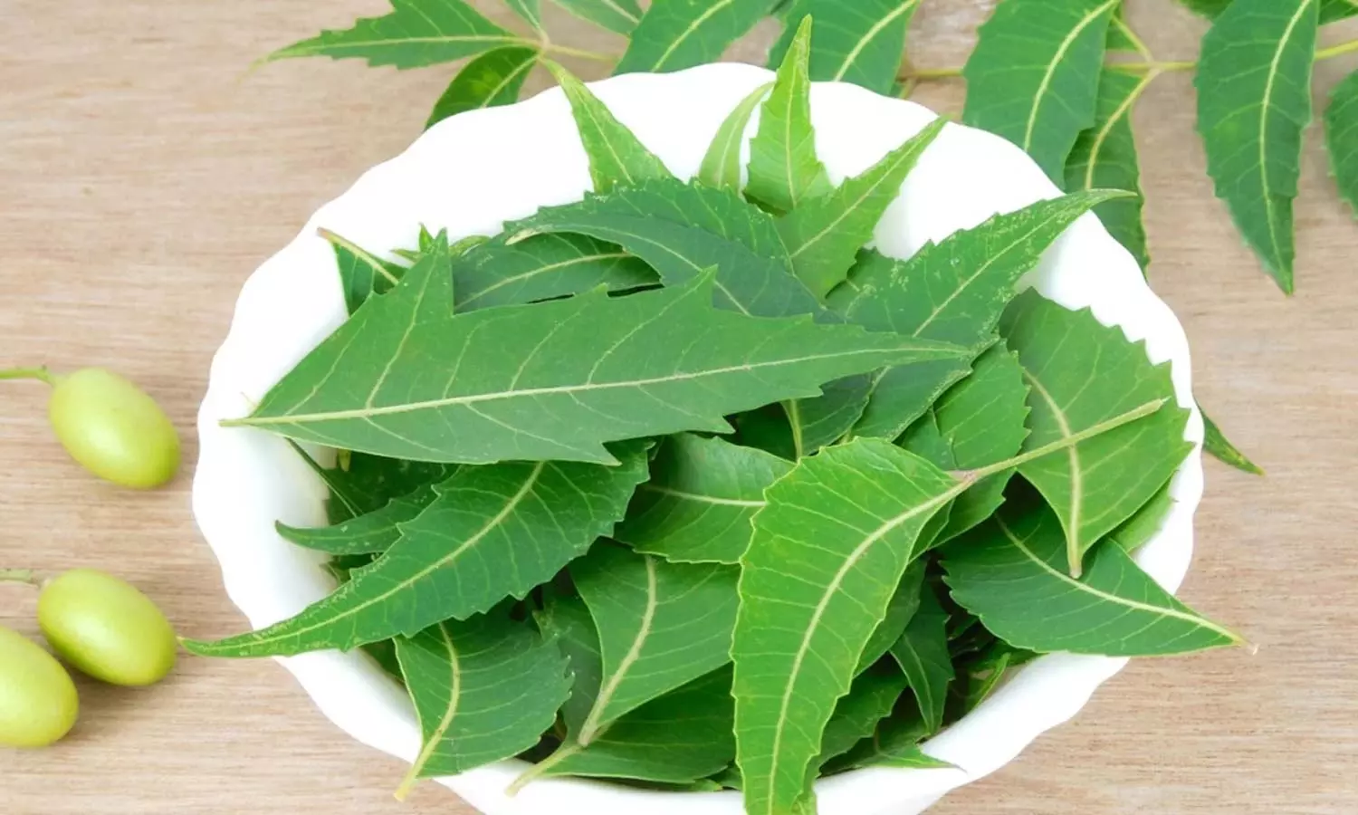 Neem Leaves Health Benefits