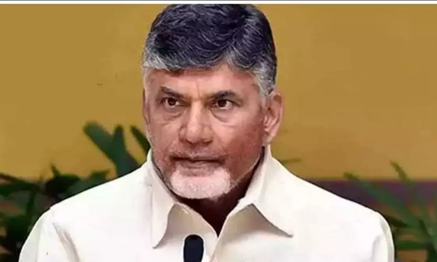 Chandrababu government Decides To appoint an IPS officer for Kakinada port