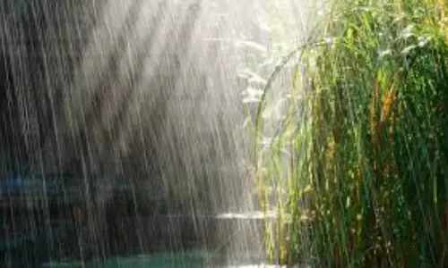 Rain Alert: తెలుగు రాష్ట్రాలకు నేడు వర్ష సూచన Rain Alert: తెలుగు రాష్ట్రాలకు నేడు వర్ష సూచన