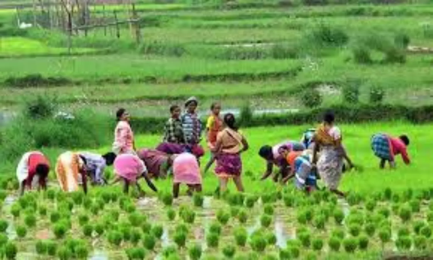 Annadata Sukhibhava Scheme: ఒక్కో రైతు ఖాతాలో రూ. 20వేలు ..ఏపీలో అన్నదాత సుఖీభవ పథకంపై మంత్రి కీలక ప్రకటన