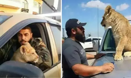 Syria: పెంపుడు సింహానికి ఆహారంగా ఖైదీలు.. బయటకు వస్తున్న అసద్ అరాచకాలు Syria: పెంపుడు సింహానికి ఆహారంగా ఖైదీలు.. బయటకు వస్తున్న అసద్ అరాచకాలు