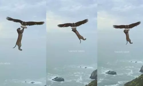 Viral Video: నిజమా? AI మాయా? నెట్టింట వైరల్‌ అవుతోన్న వీడియో