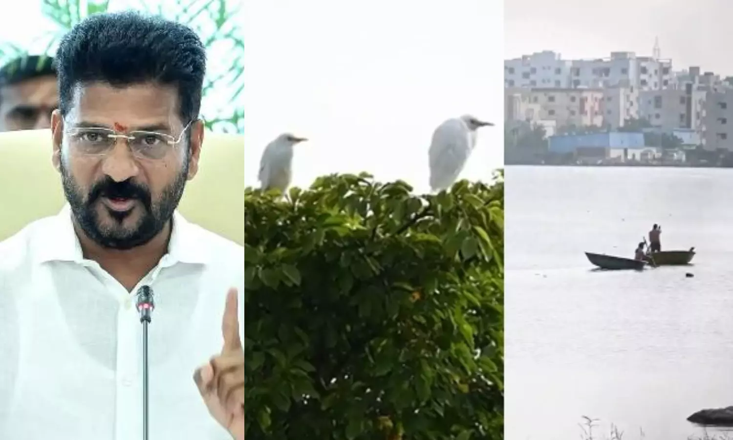 Revanth Reddy: హరిత తెలంగాణ కోసం రేవంత్ రెడ్డి అలుపెరగని కృషి.. సాహసోపేత నిర్ణయాలు..!