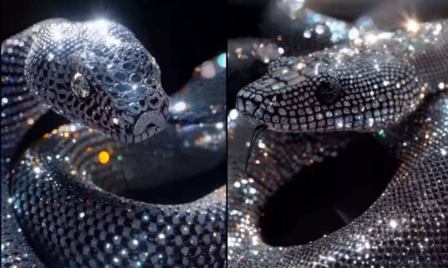 Diamond Snake Video Viral in Social Media