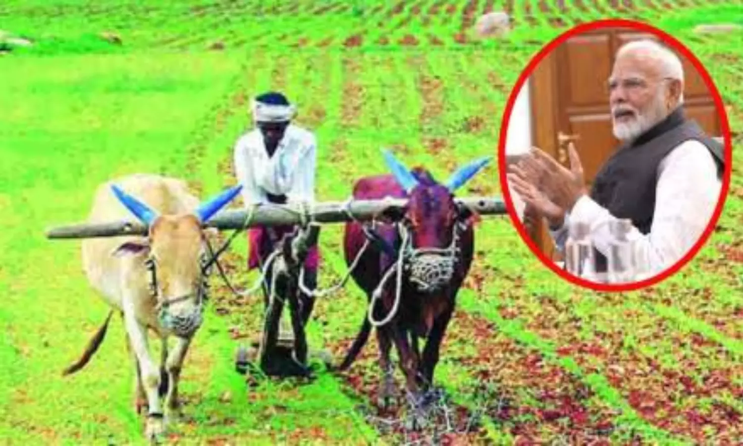 Farmers: రైతుల కోసం 5 ప్రత్యేక ప్రభుత్వ పథకాలు..  రైతుల్లారా ఈ ప్రయోజనాలు అస్సలు మిస్ కావొద్దు..!