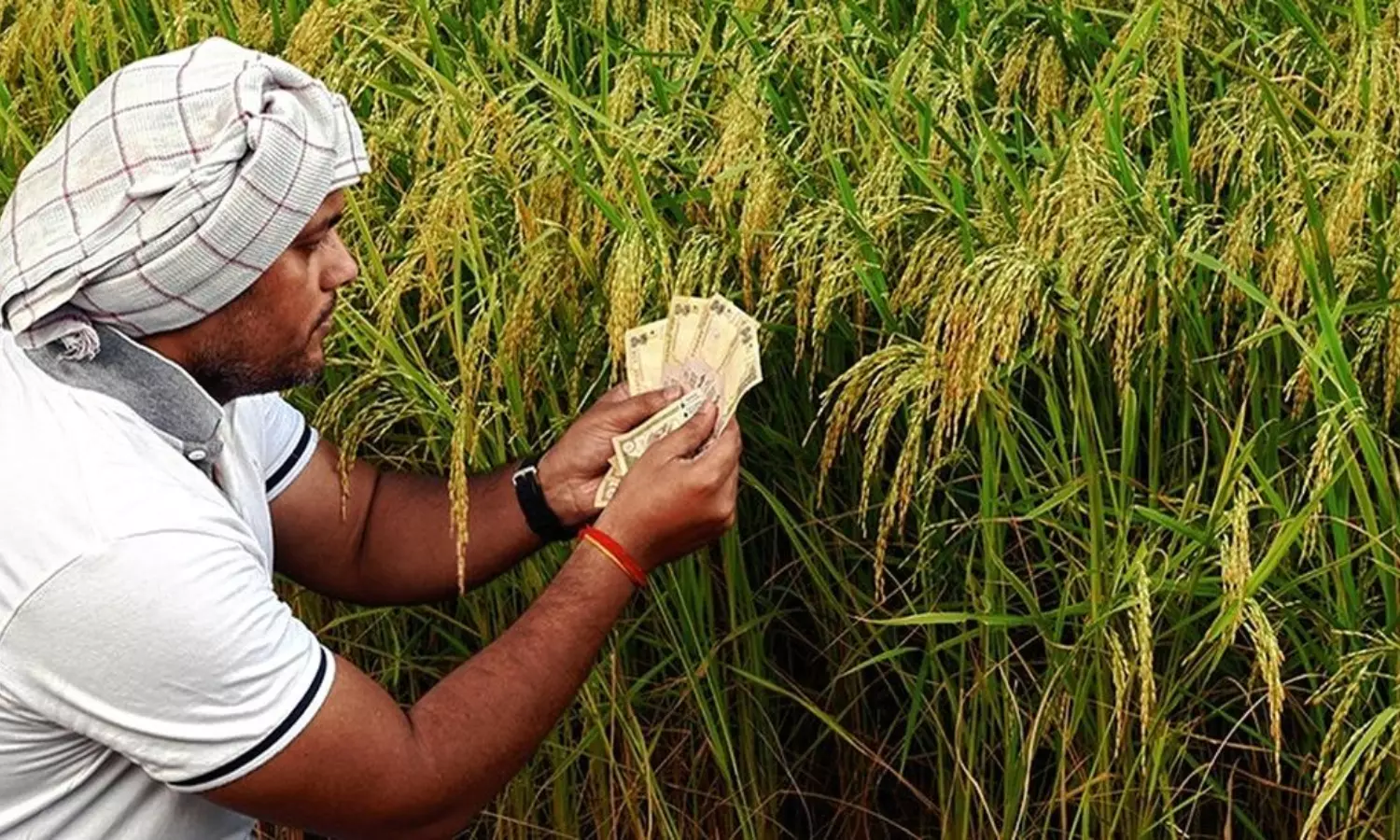 Raithu Runamafi: రైతులకు గుడ్ న్యూస్..5వ విడత రుణమాఫీకి ముహూర్తం ఫిక్స్