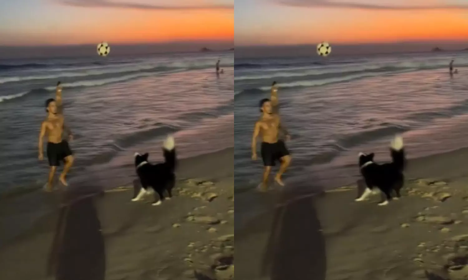 A Dog Playing Ball With Man Video Goes Viral in Social Media