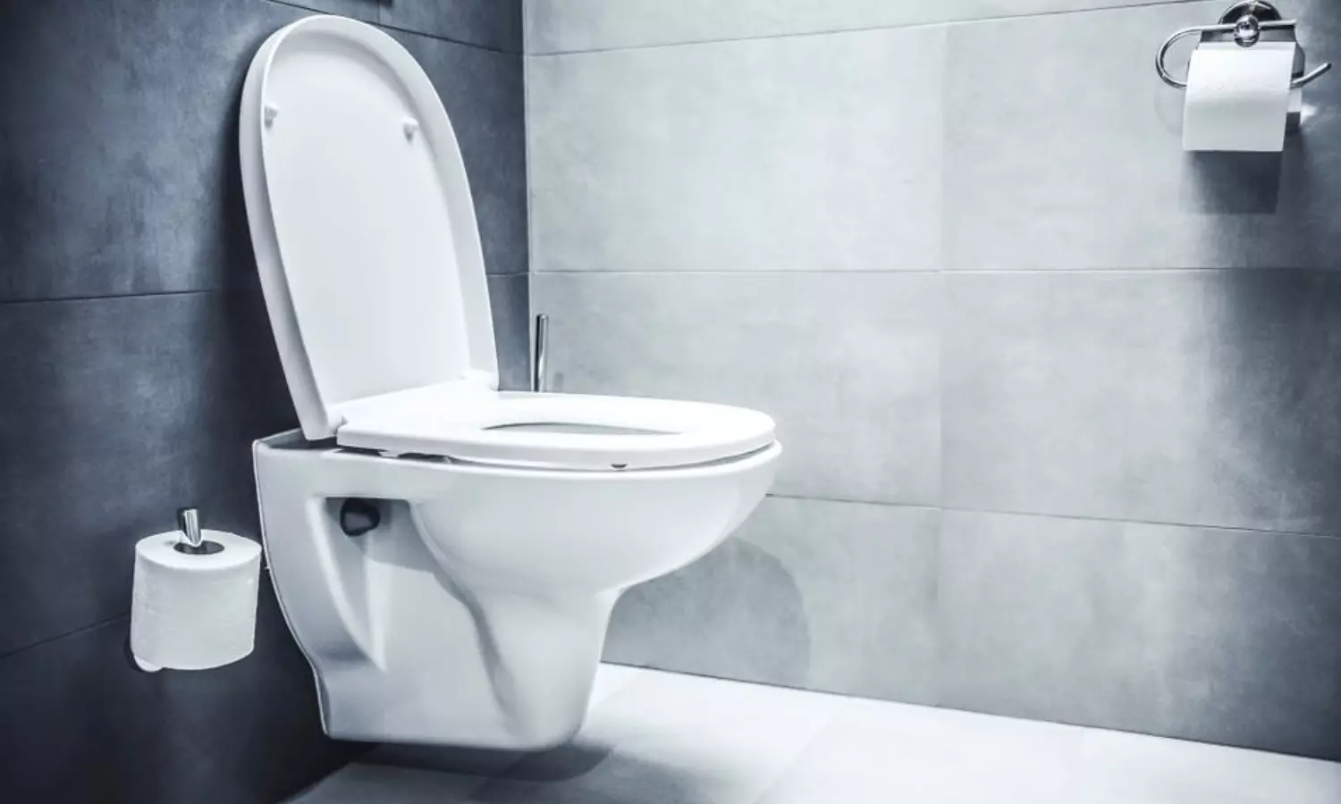 Dont Do These Mistakes While Using Toilet Seat Experts Say