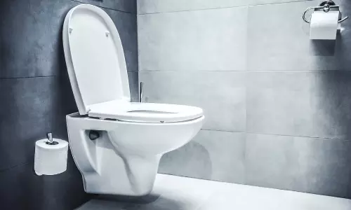 Dont Do These Mistakes While Using Toilet Seat Experts Say