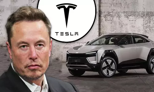 Mahindra Targets Elon Musk Tesla and Chinese Companies Mahindra Targets Elon Musk Tesla and Chinese Companies