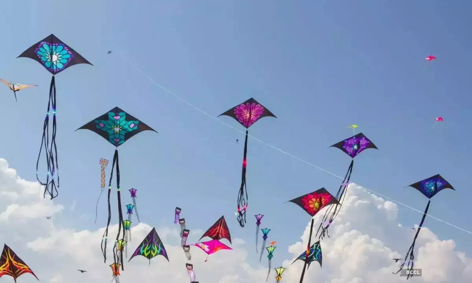 Kite Flying: సంక్రాంతికి, గాలిపటానికి సంబంధం ఏంటీ? అసలెందుకు ఆరోజు పతంగులను ఎగరవేస్తారు?