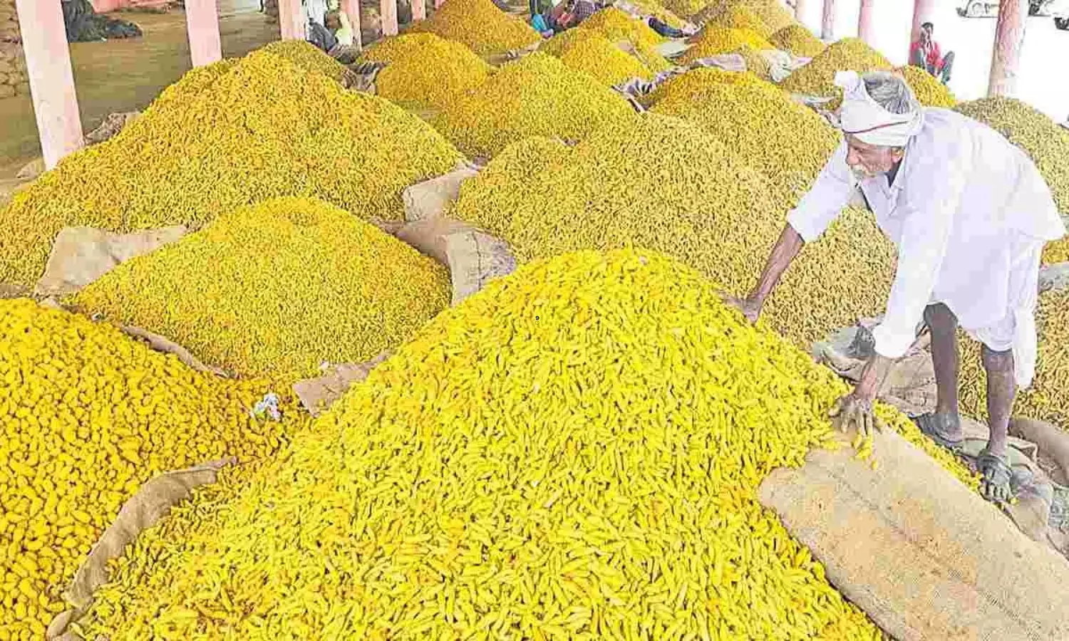 National Turmeric Board: నెరవేరిన ఇందూరు పసుపు రైతుల కల.. నేటి నుంచే ప్రారంభం కానున్న పసుపు బోర్డు కార్యకలాపాలు..!