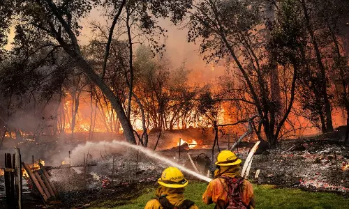 Los Angeles Wildfires: లాస్ ఏంజెలెస్ను బుగ్గి చేసిన అడవి మంటలు.. కార్చిచ్చుకు అసలు కారణం ఏంటి? Los Angeles Wildfires: లాస్ ఏంజెలెస్ను బుగ్గి చేసిన అడవి మంటలు.. కార్చిచ్చుకు అసలు కారణం ఏంటి?