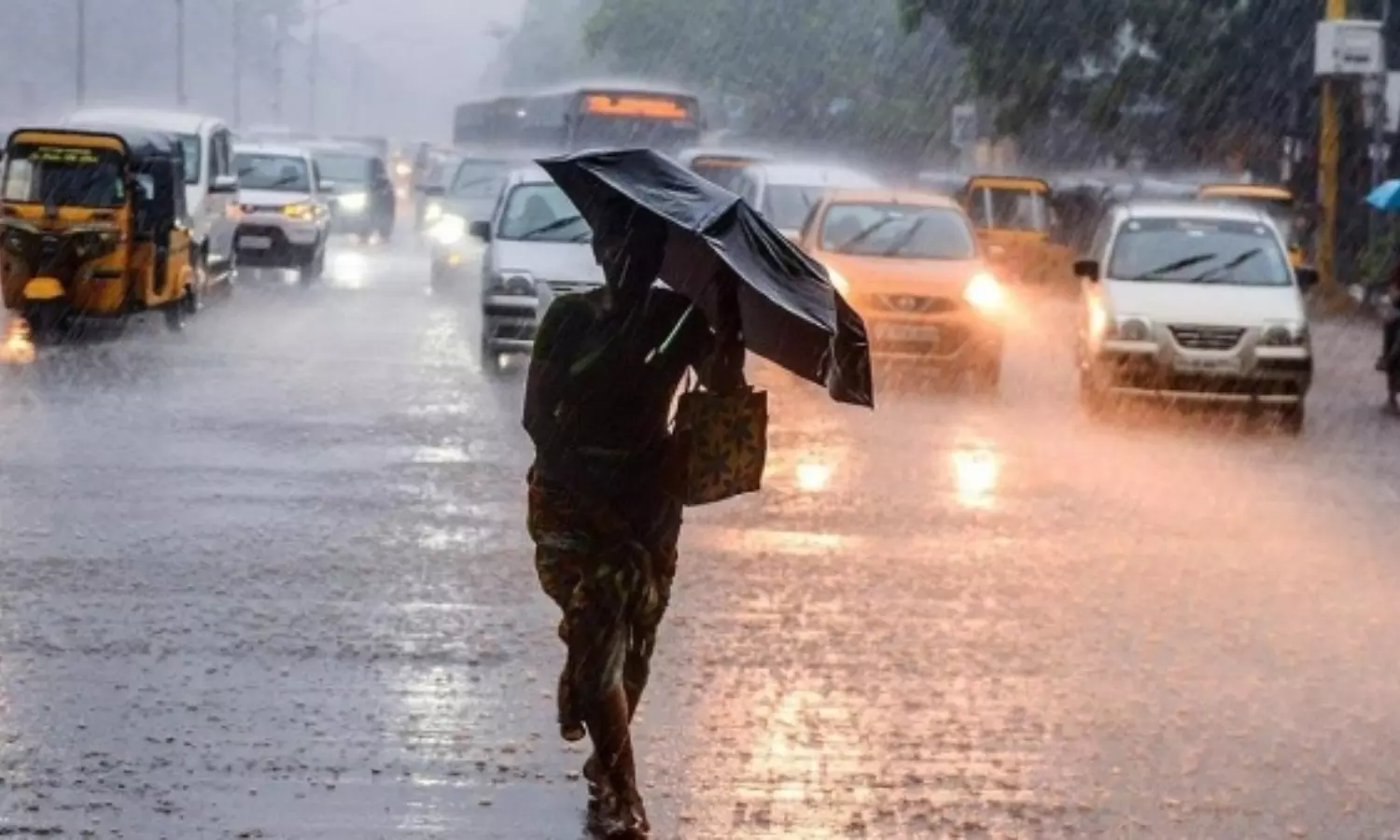 Weather Report: కొనసాగుతున్న అల్పపీడనం.. రాయలసీమలో వర్షాలు.. మామిడితోటలకు తీవ్ర నష్టం