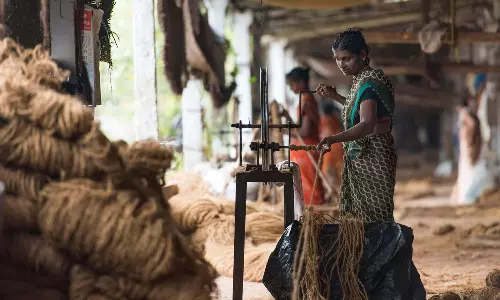 Coir Udyami Yojana: కేంద్రం నుంచి రూ. 4 లక్షల సబ్సిడీ పొందాలా?: ఇలా చేయండి Coir Udyami Yojana: కేంద్రం నుంచి రూ. 4 లక్షల సబ్సిడీ పొందాలా?: ఇలా చేయండి