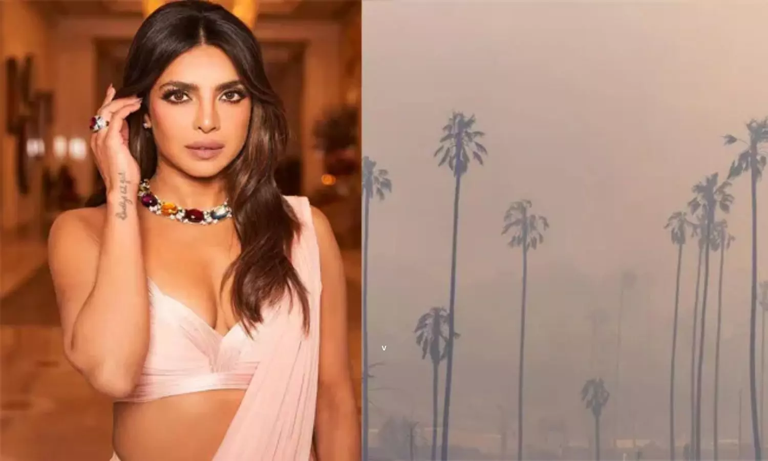 Priyanka Chopra Post About Los Angeles Wildfires