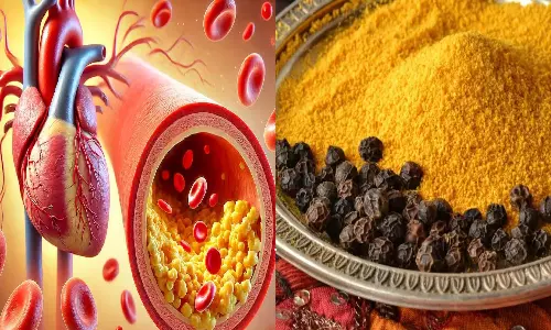 How to Control Cholesterol With Turmeric and Black Pepper Tea How to Control Cholesterol With Turmeric and Black Pepper Tea