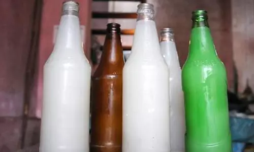 A Snake Found in Toddy Bottle in Telangana Video Goes Viral