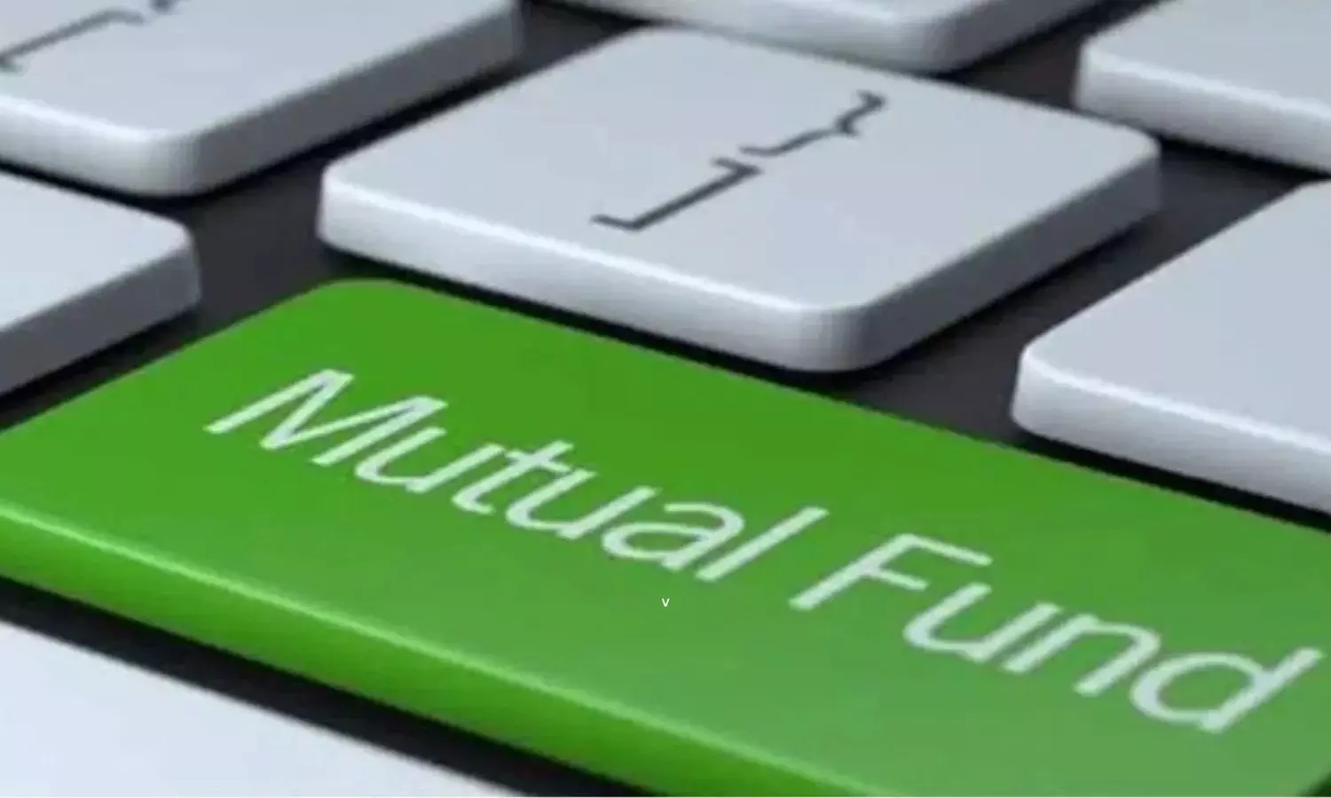 Investors are Showing Interest in Mutual Funds 122 New Schemes Launched in 2024