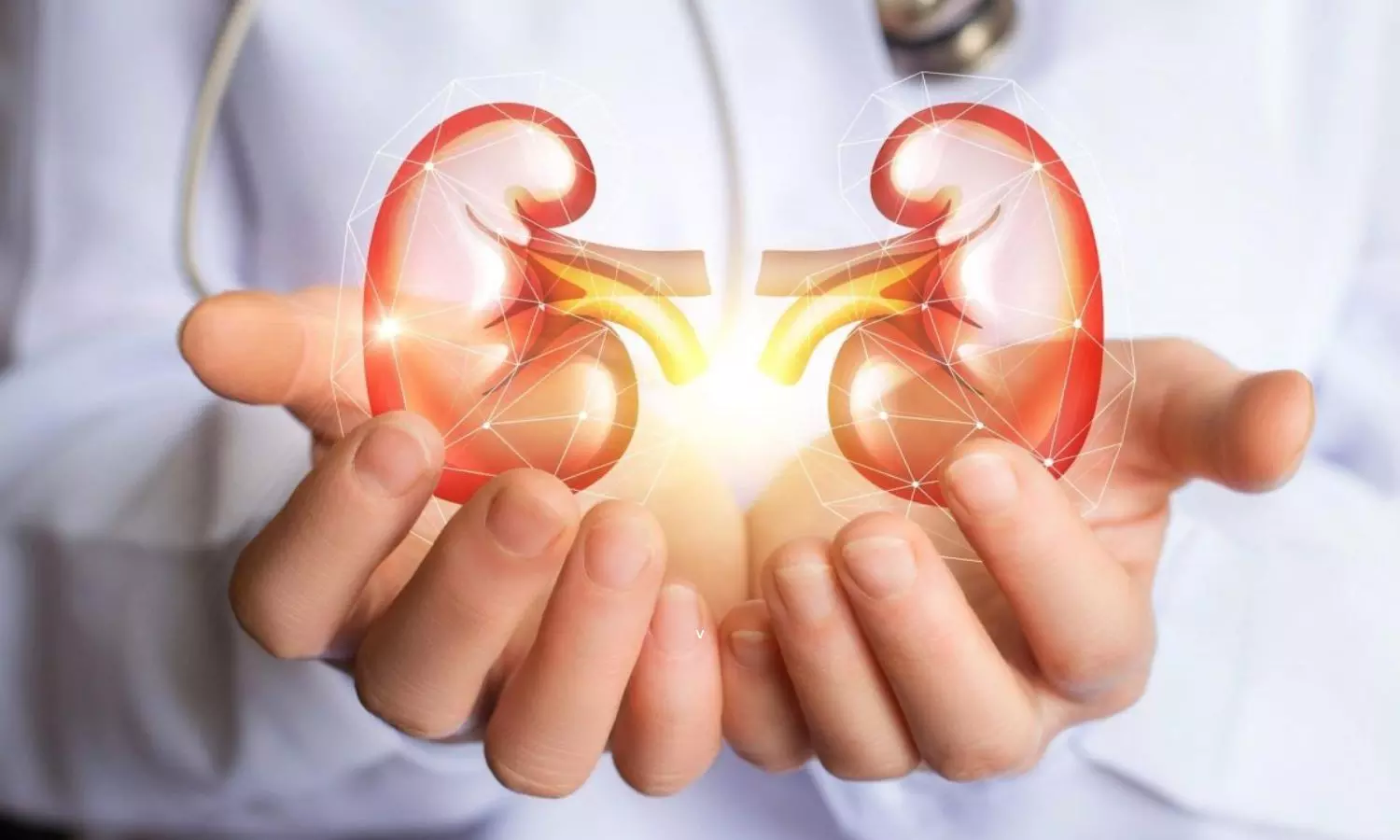 Kidney Health: కిడ్నీలు ఆరోగ్యంగా ఉండలా.? రోజూ ఈ పనులు చేయండి చాలు..!