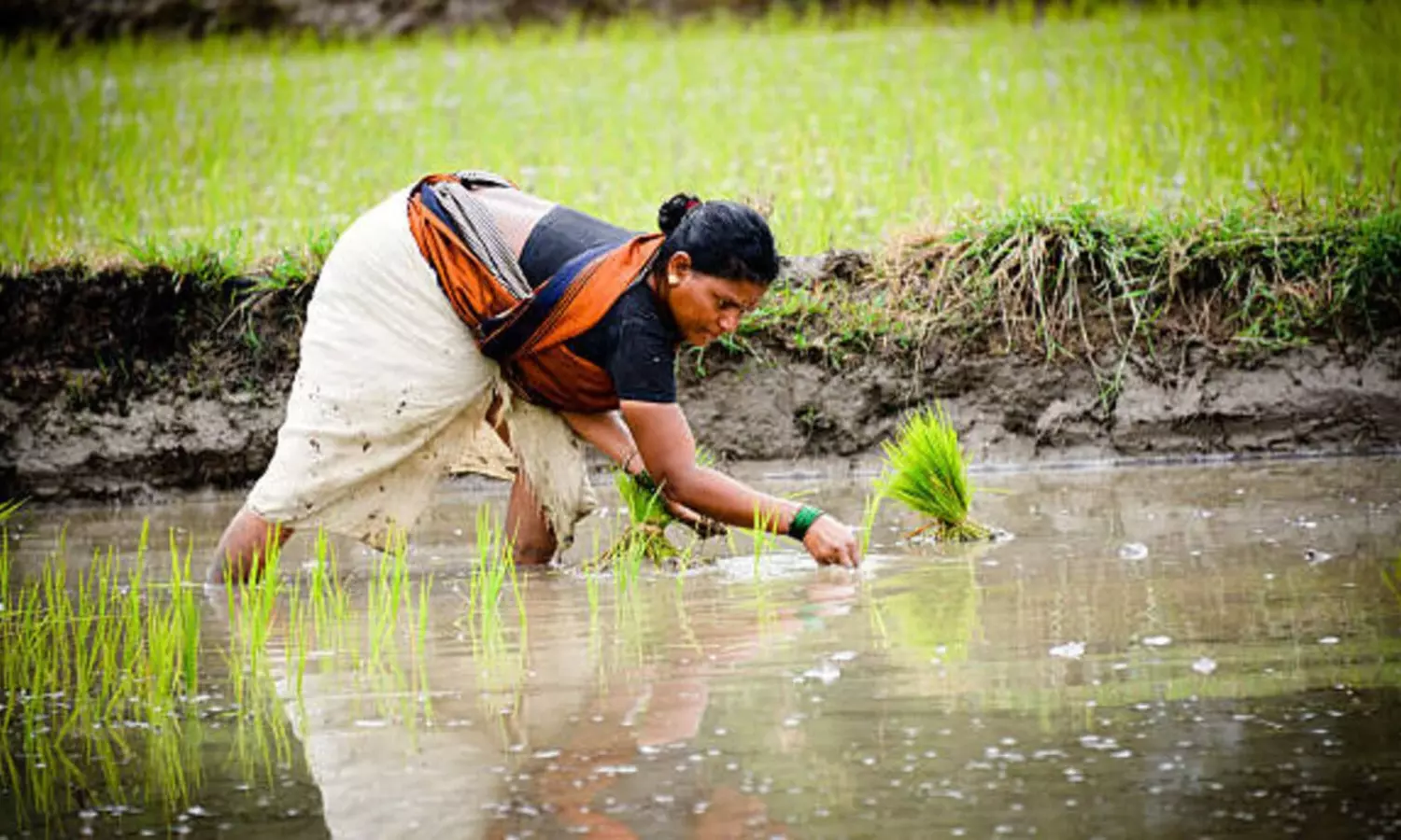 Bharosa Scheme: మహిళలకు అదిరిపోయే వార్త..బ్యాంక్ అకౌంట్లోకి రూ.6వేలు ఎప్పట్నుంచో తెలుసా?