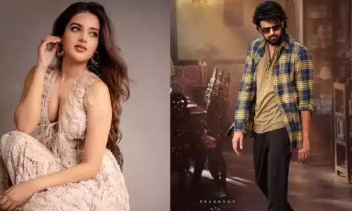 Nidhi Agarwal Interesting Comments On Rajasaab