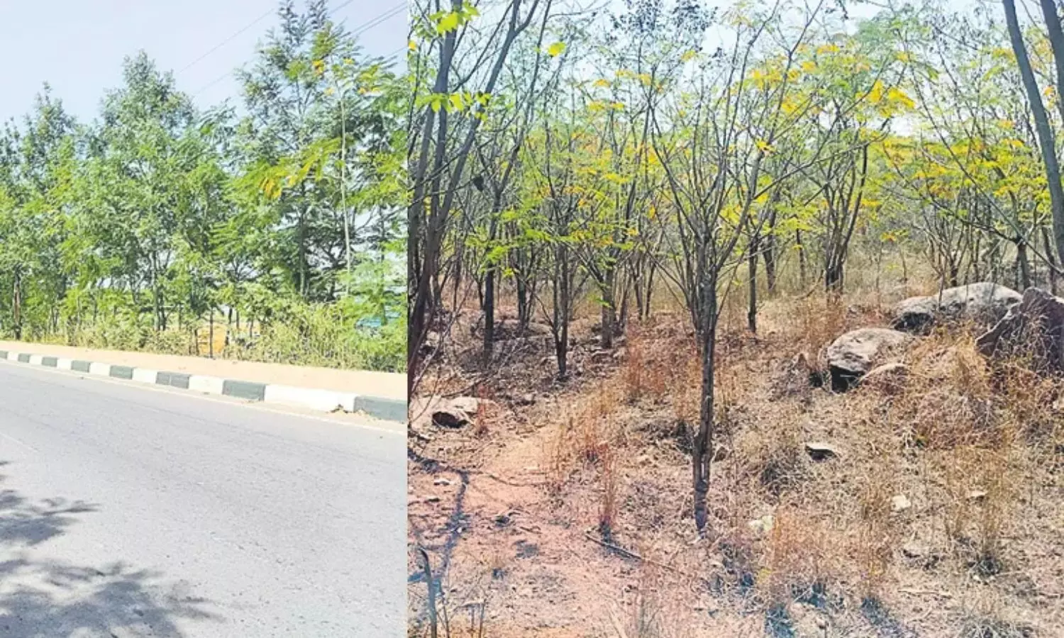 Anti-Social Activities at Hyderabad Outer Ring Road