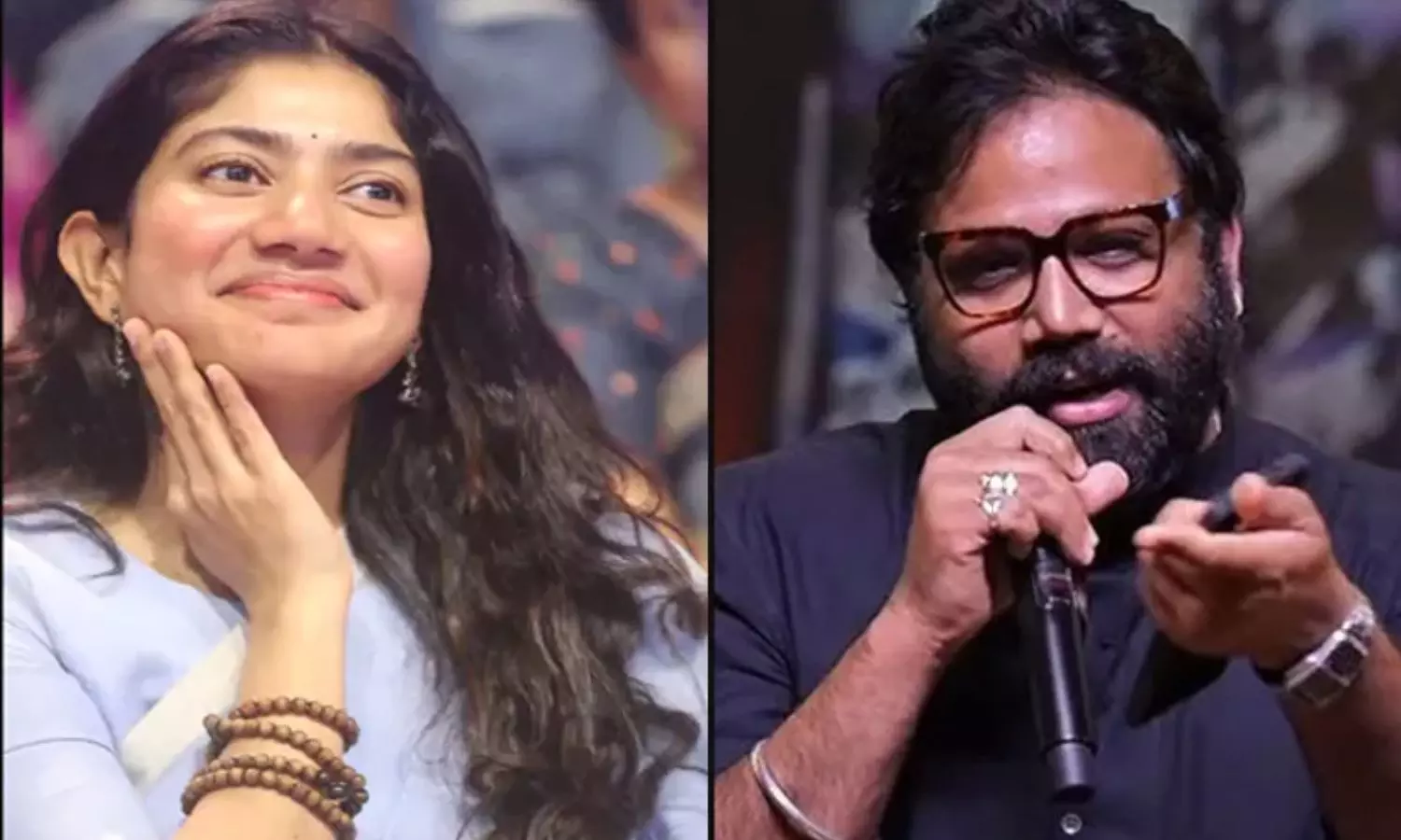 Director Sandeep Reddy Vanga Interesting comments on Sai Pallavi