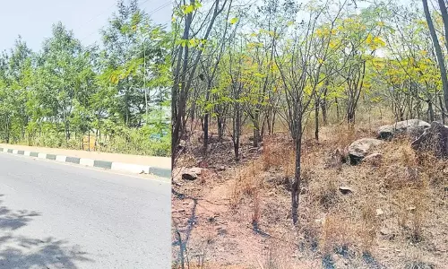 Anti-Social Activities at Hyderabad Outer Ring Road Anti-Social Activities at Hyderabad Outer Ring Road