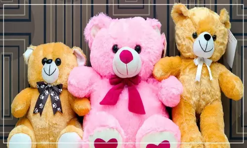 Teddy Bear Business Idea: Perfect for February and Valentines Season Teddy Bear Business Idea: Perfect for February and Valentines Season