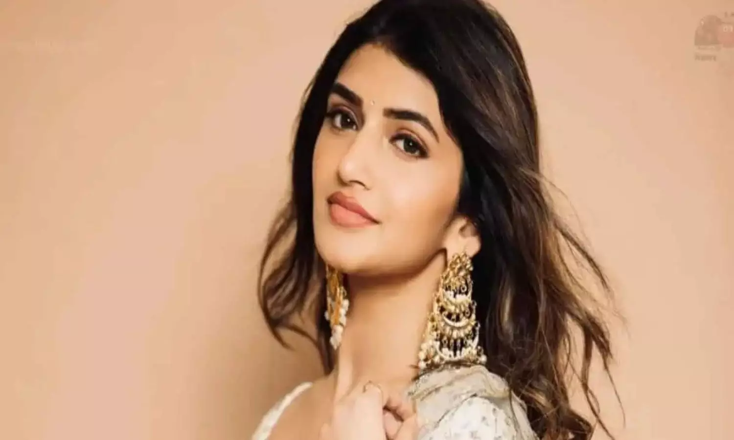 Sreeleela Gets Bollywood Offer With Karthik Aryan