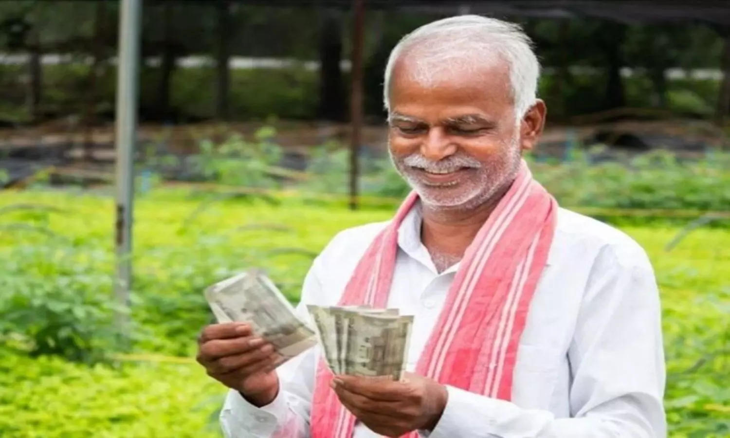 PM Kisan PM Kisan