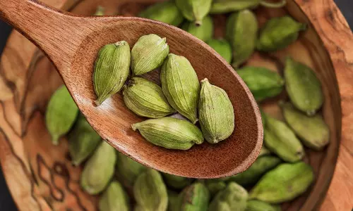 Cardamom: రోజు రెండు యాలకులు తింటే దిమ్మతిరిగే ప్రయోజనాలు మీ సొంతం