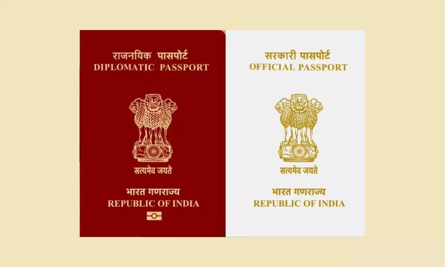 What is a Diplomatic Passport What is a Diplomatic Passport