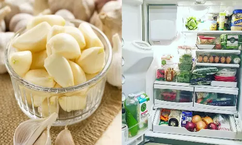 Storing Garlic in the Fridge Why It Can Be Harmful and How to Store It Properly Storing Garlic in the Fridge Why It Can Be Harmful and How to Store It Properly