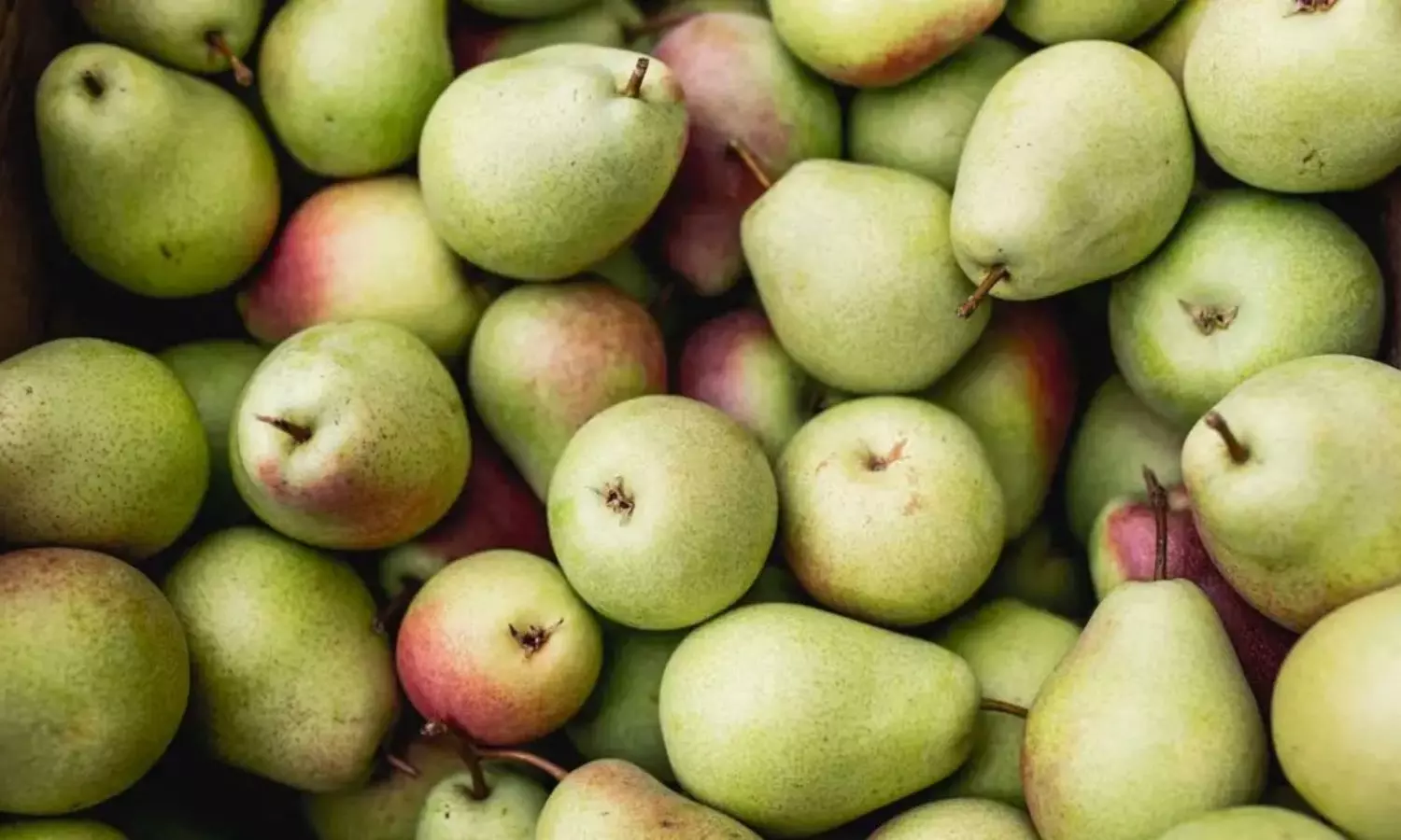 Why You Should Eat Pears Fruit for Better Health