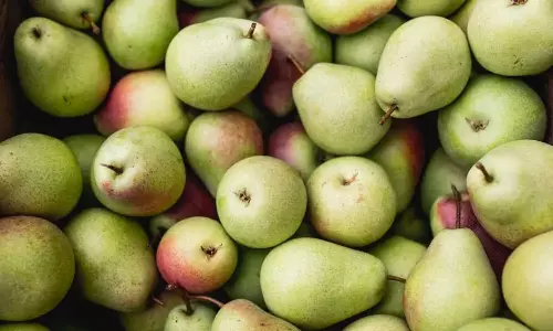 Why You Should Eat Pears Fruit for Better Health