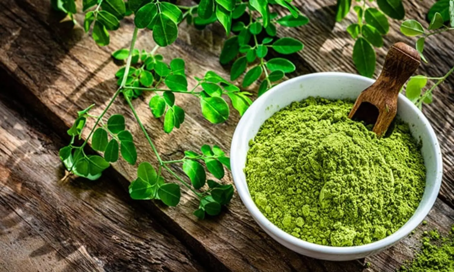 Moringa Powder: ఎలాంటి వ్యక్తులు మునగాకు తినకూడదు.. ఒక వేళ తింటే ఏమవుతుందో తెలుసా..?