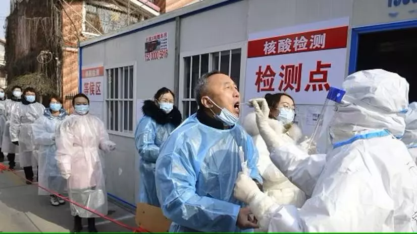 New coronavirus variant HKU5-CoV-2 found in Chinese bats china batswoman, virologist Shi Zhengli leads research