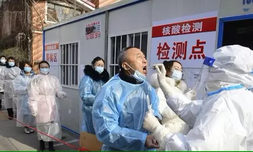 New coronavirus variant HKU5-CoV-2 found in Chinese bats china batswoman, virologist Shi Zhengli leads research