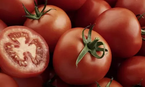 Tomatoes Health Benefits: టమాట ధర తక్కువున్నప్పుడే కొనేయండి.. ఇలా చేస్తే ఎన్ని లాభాలో తెలుసా.?