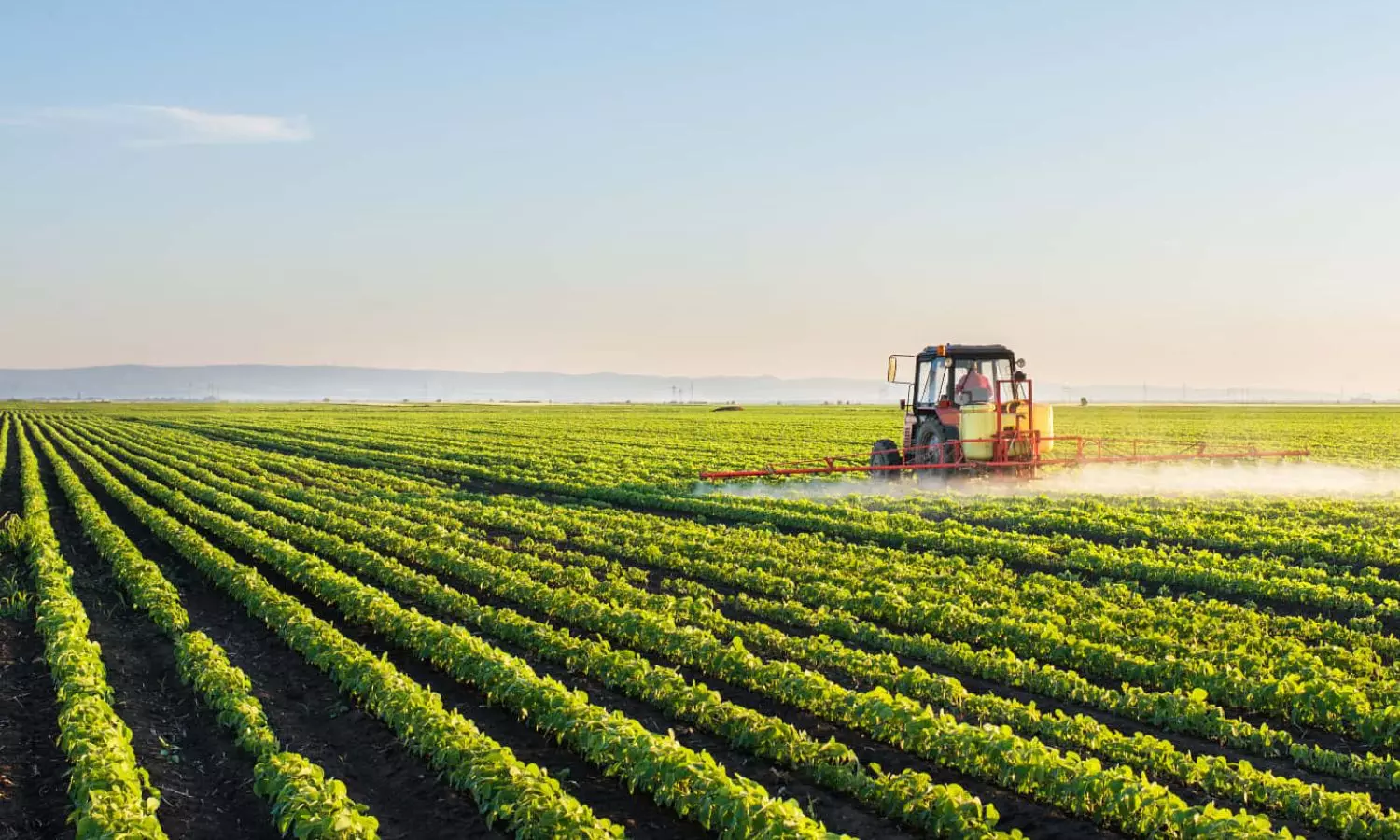 Nituben Patel tops Indias richest farmers list