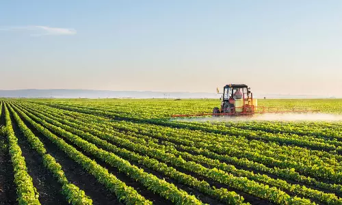 Nituben Patel tops Indias richest farmers list Nituben Patel tops Indias richest farmers list