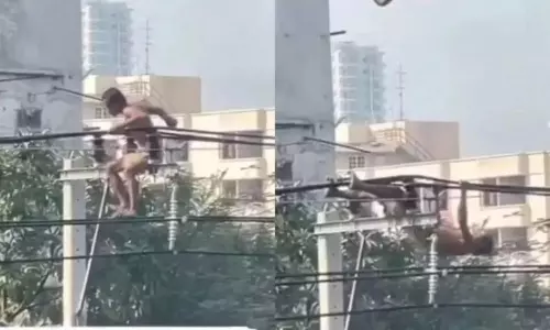 Viral Video Man Performs Workout on Electric Pole Shocking Stunt Goes Viral