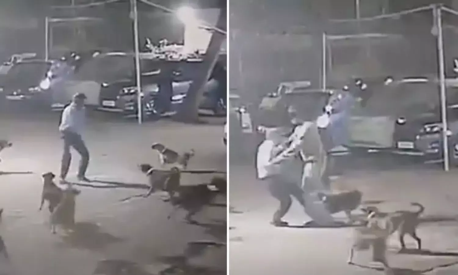 Viral Video: నువ్వు అసలు మనిషివేనా.? కుక్కలు వెంటాడుతుంటే ఇదేం పని.. నెటిజెన్లు ఫైర్‌..!