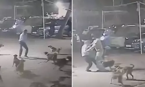 Viral Video: నువ్వు అసలు మనిషివేనా.? కుక్కలు వెంటాడుతుంటే ఇదేం పని.. నెటిజెన్లు ఫైర్‌..!