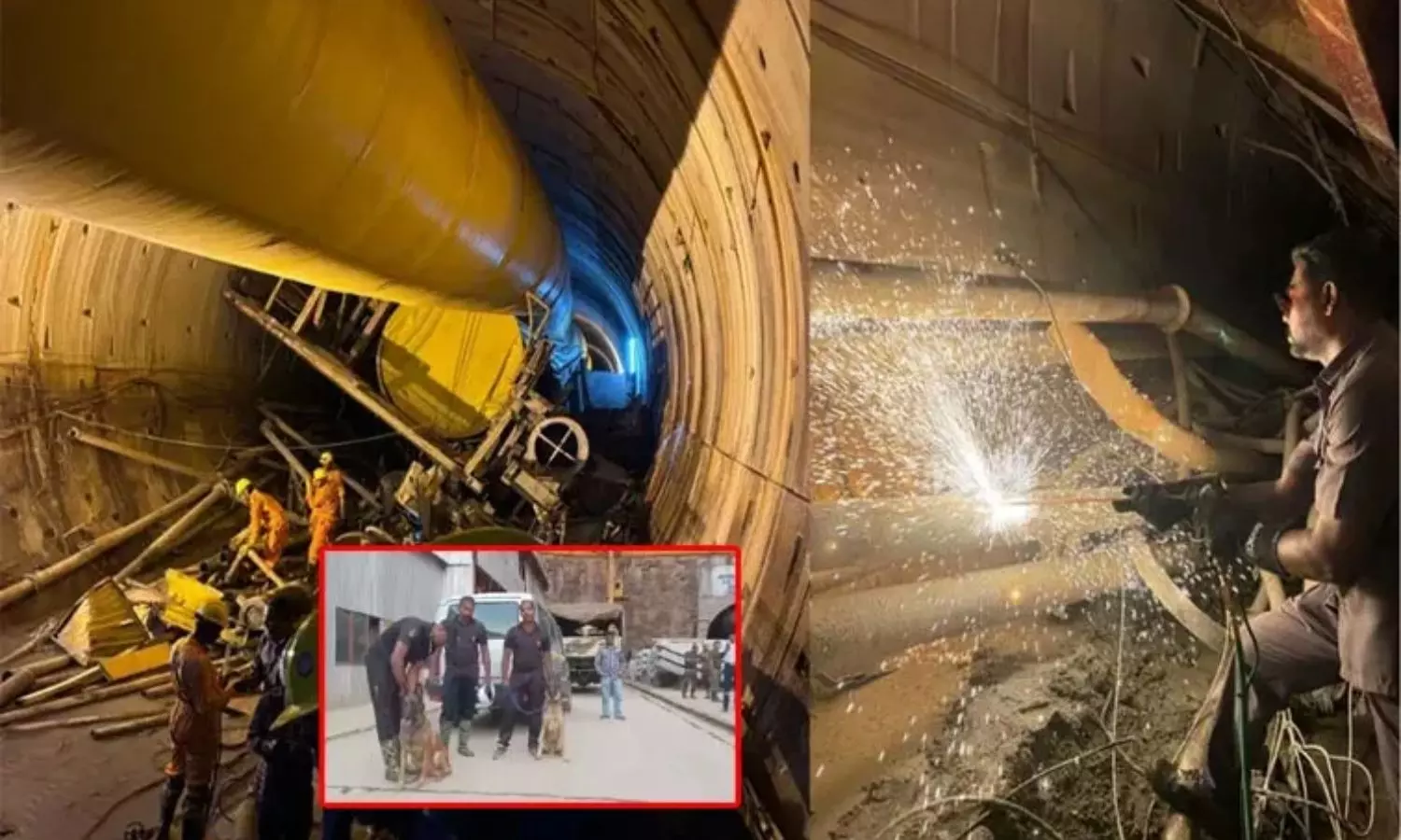 Cadaver Dogs Identify Two Spots in SLBC Tunnel